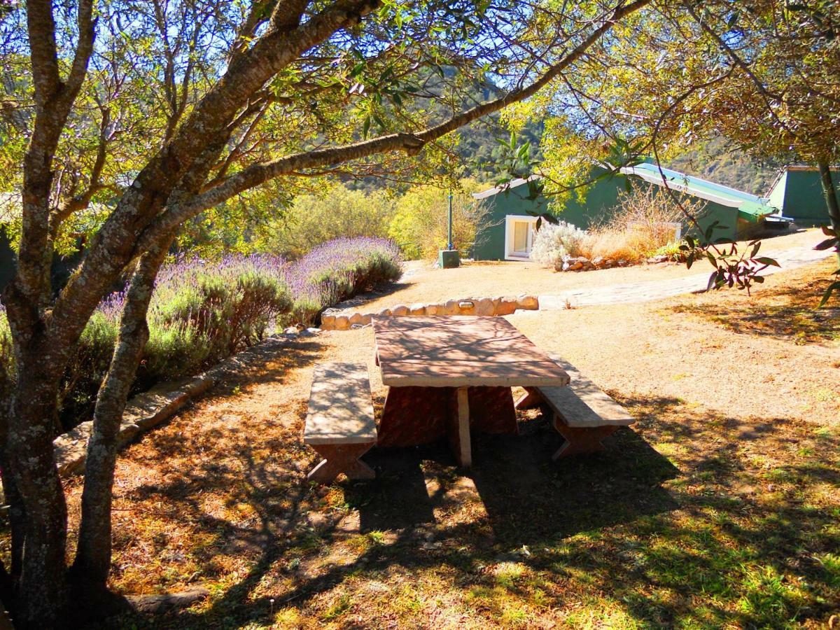 La Loma - Cabanas & Suites Villa Carlos Paz Eksteriør billede